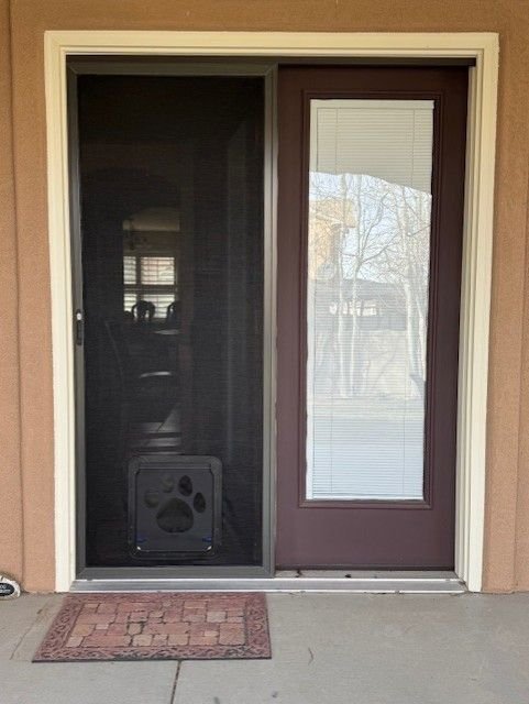 Screen door with pet door insert